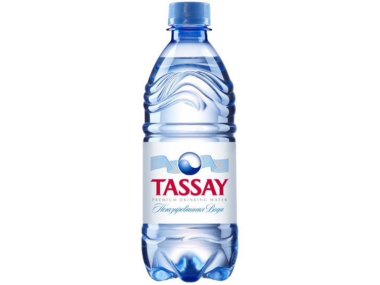 Вода TASSAY 0,5 ПЭТ негаз